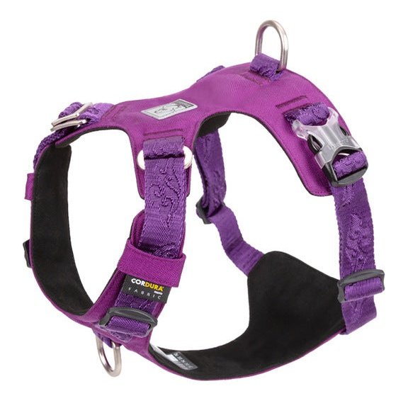 Light Weight No Pull Dog Harness Purple Dog Nation