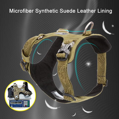 Light Weight No Pull Dog Harness Dog Nation
