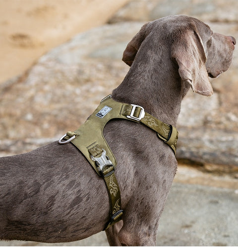 Light Weight No Pull Dog Harness Dog Nation