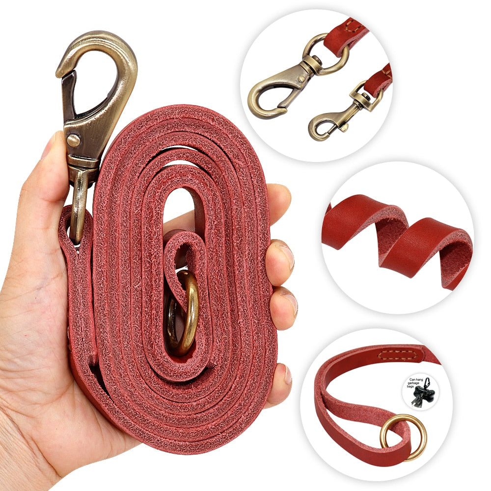 Sirius Genuine Leather Dog Leash Dog Nation