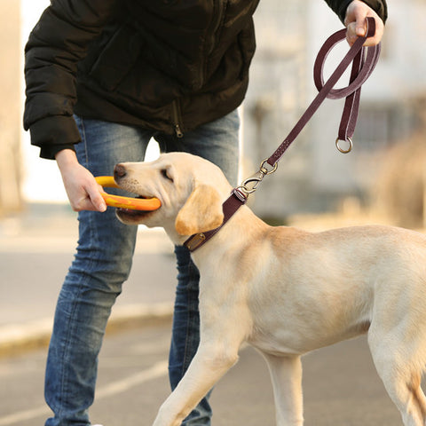 Sirius Genuine Leather Dog Collar and Leash Set Personalised Dog Nation