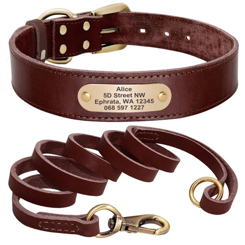 Sirius Genuine Leather Dog Collar and Leash Set Personalised Brown Dog Nation