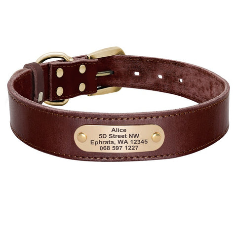 Sirius Genuine Leather Dog Collar Personalised Brown Dog Nation
