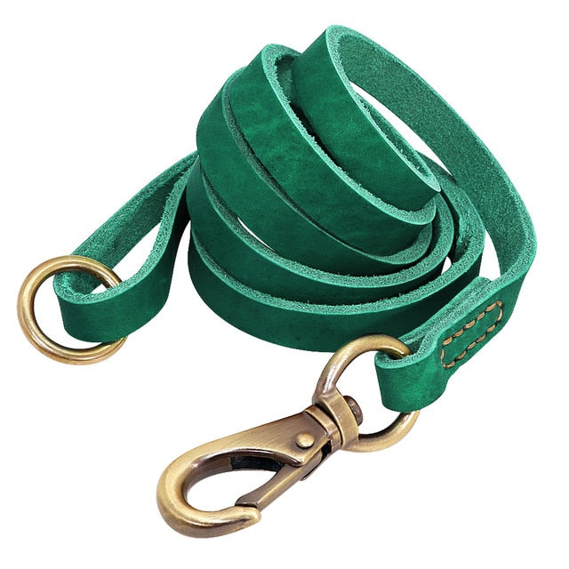 Sirius Genuine Leather Dog Leash Green Dog Nation