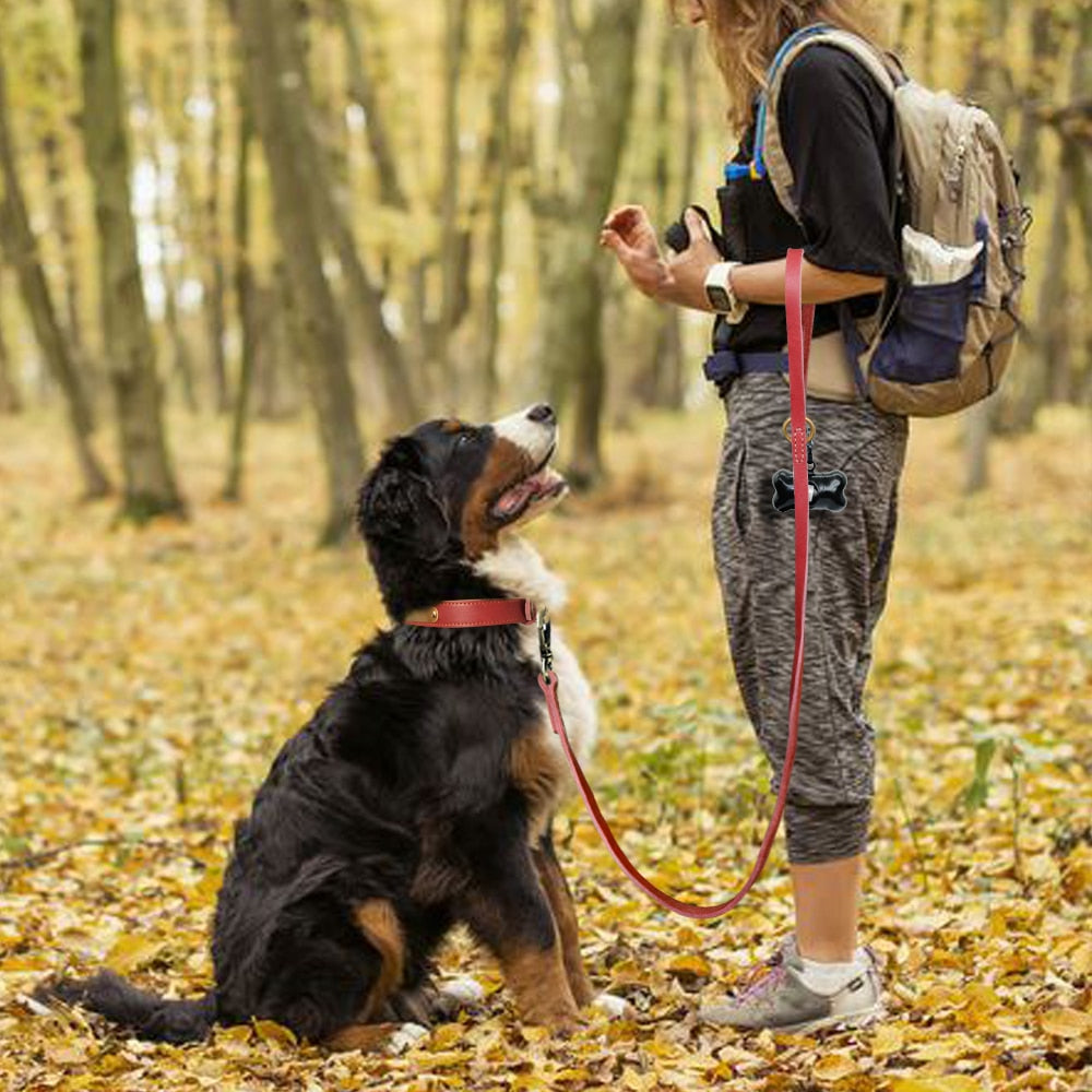 Sirius best sale dog walking