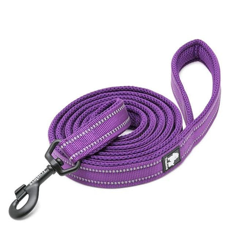 Long Dog Leash Soft Padded Strong Reflective Nylon 200cm purple Dog Nation