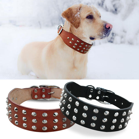 Cool Rivets Studded Genuine Leather Dog Collar Dog Nation