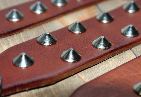 Cool Rivets Studded Genuine Leather Dog Collar Dog Nation