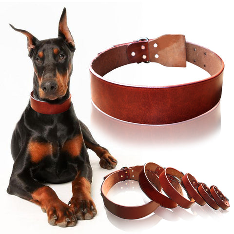 Theo Heavy Duty Genuine Leather Dog Collar Dog Nation