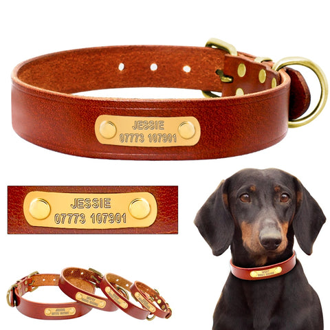 Dog Collar Genuine Leather Free Engraving Dog Nation