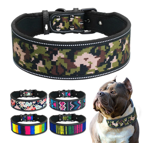 Astro Beautiful Designer Wide Neoprene Dog Collars Dog Nation