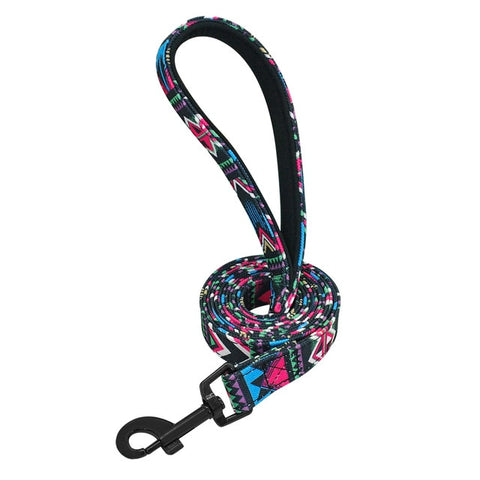 Astro Colourful Stylish Dog Leash XW Dog Nation