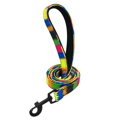 Astro Colourful Stylish Dog Leash Rainbow Dog Nation