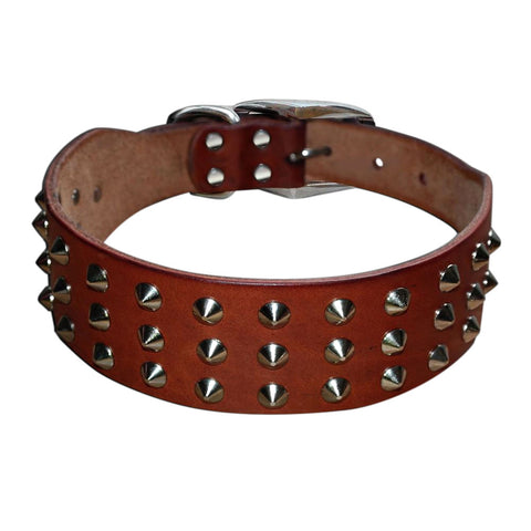 Cool Rivets Studded Genuine Leather Dog Collar Brown Dog Nation