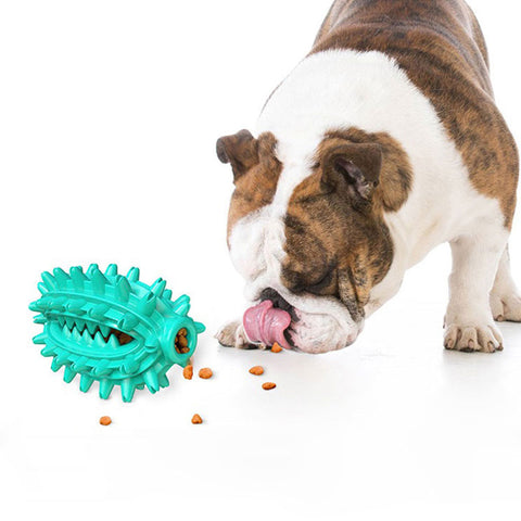 Suction Cup Ball Toy for Dogs Dog Nation